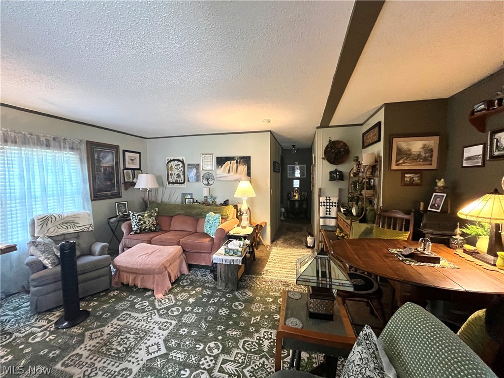 13 Cherokee Lane Property Photo 4