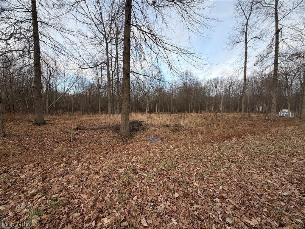 W Nevada Avenue Property Photo 1