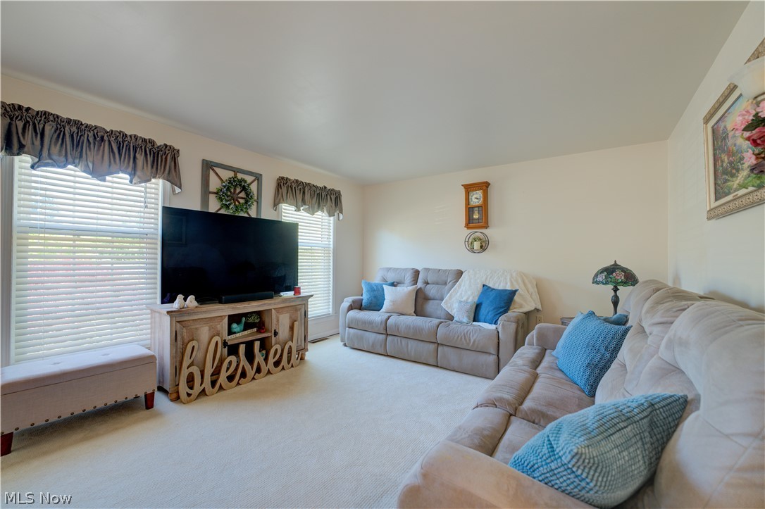 6008 Conneaut Light Drive Property Photo 3