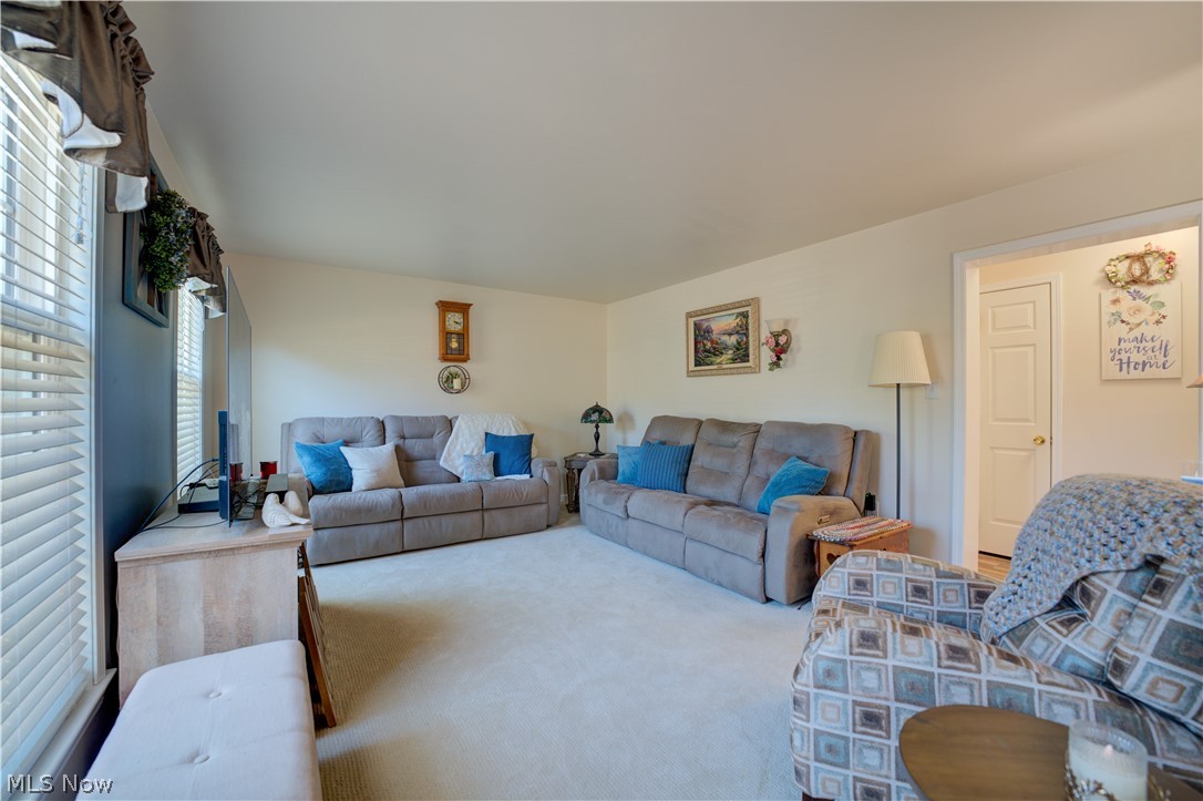 6008 Conneaut Light Drive Property Photo 4