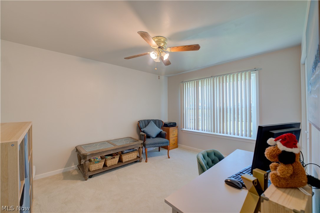 6008 Conneaut Light Drive Property Photo 20