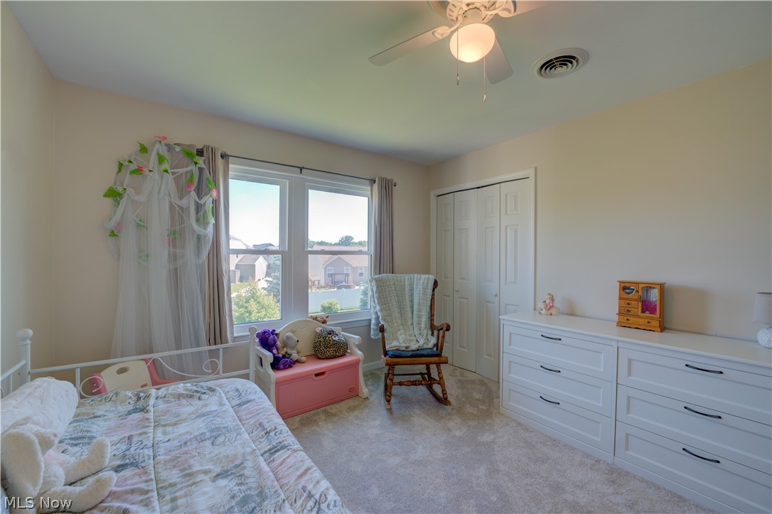 6008 Conneaut Light Drive Property Photo 26