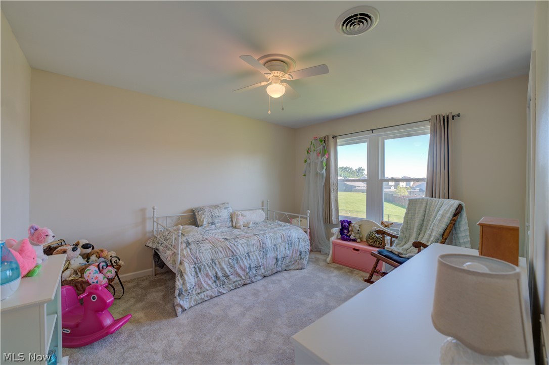 6008 Conneaut Light Drive Property Photo 27