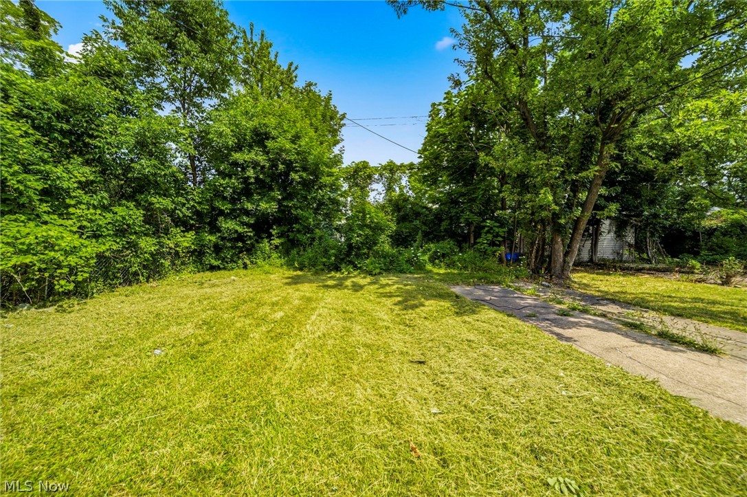13405 Bartlett Avenue Property Photo 27