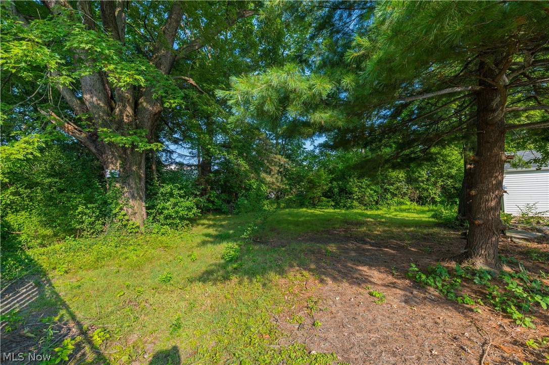 445 Berea Street Property Photo 41