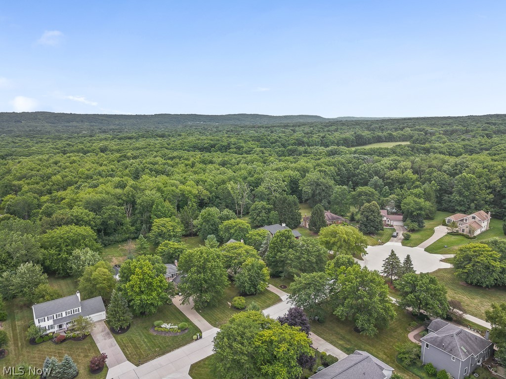 315 Valley Brook Oval Property Photo 48
