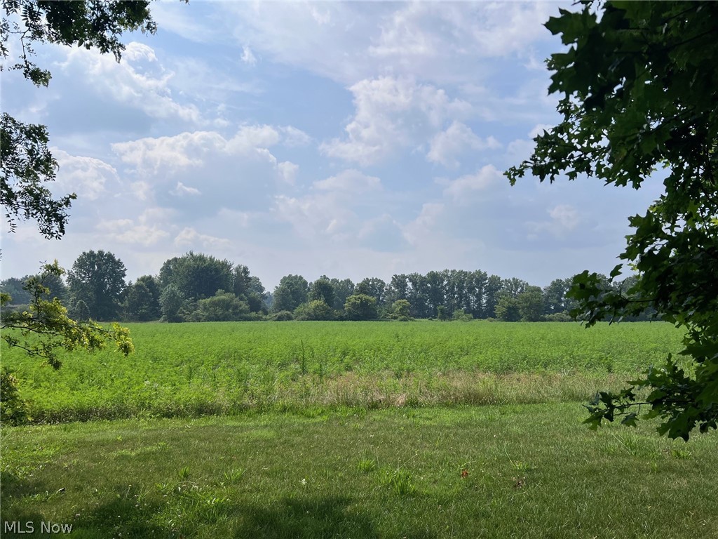 36143 Jason Drive Property Photo 5