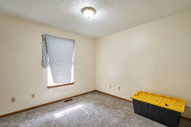 1843 Springfield Center Rd Property Photo 19