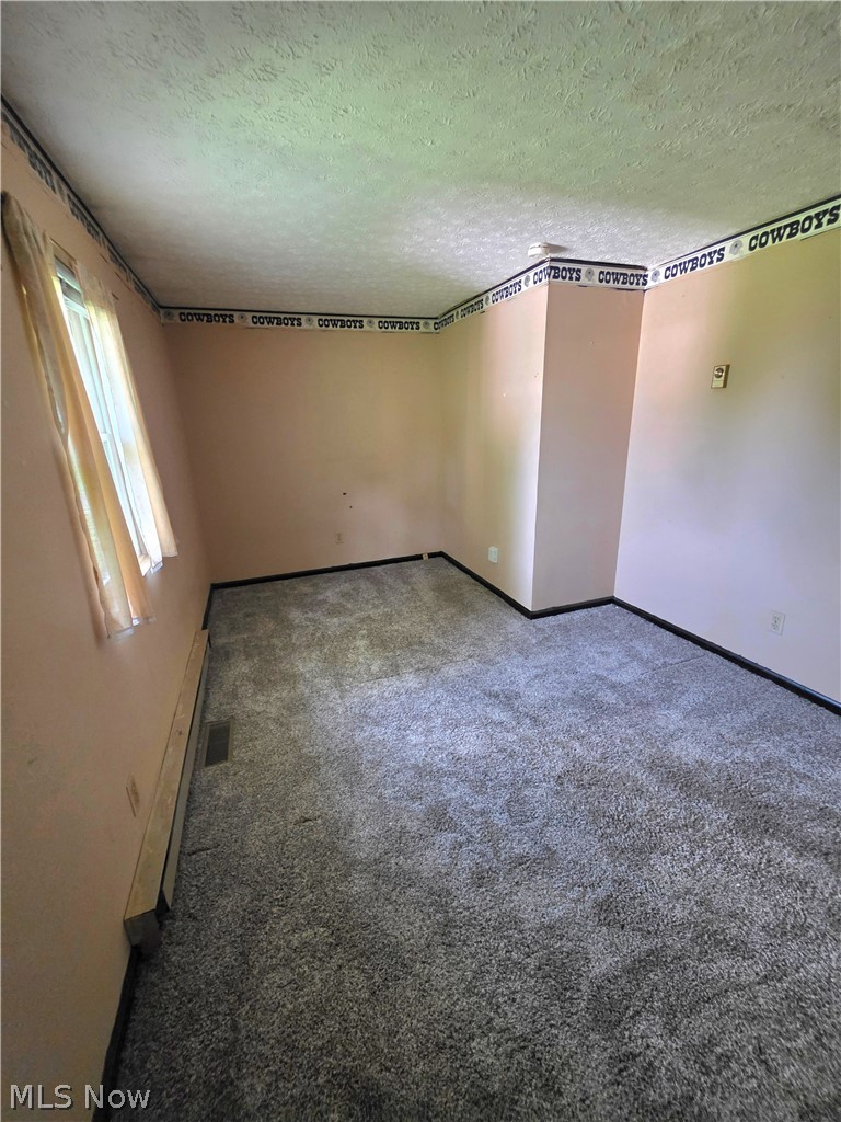 301 Shenandoah Drive Property Photo 27