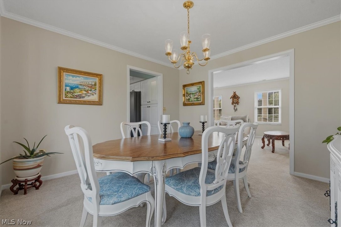 218 Dublin Drive Property Photo 17