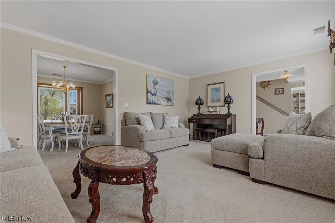 218 Dublin Drive Property Photo 19