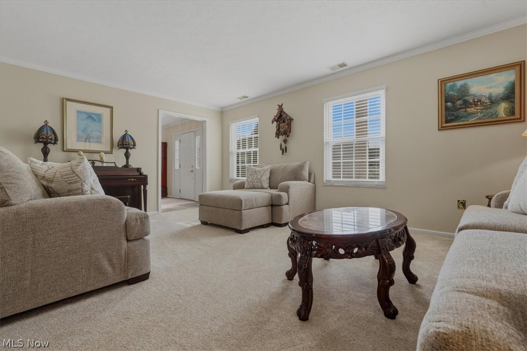 218 Dublin Drive Property Photo 21