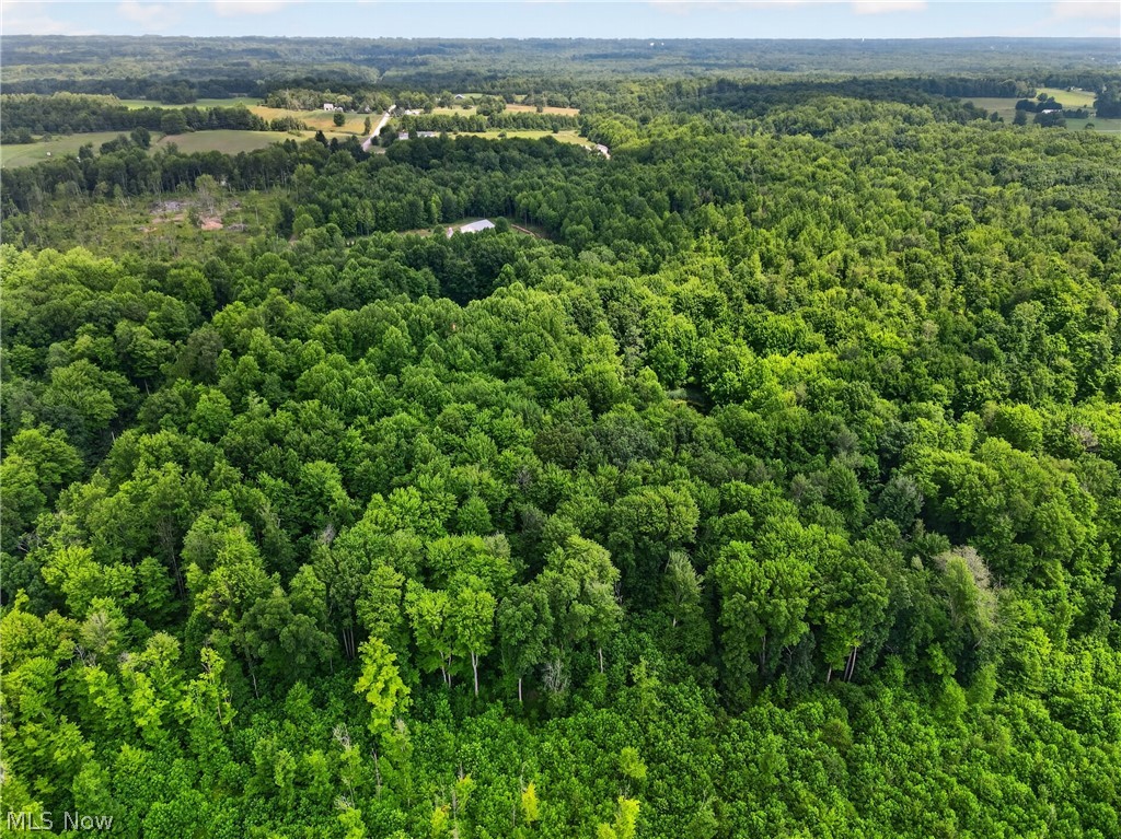 Keefus Road Property Photo 10