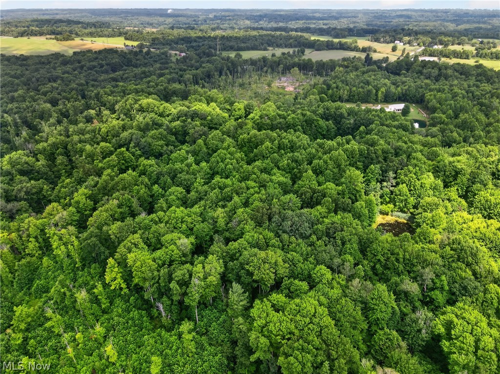 Keefus Road Property Photo 11