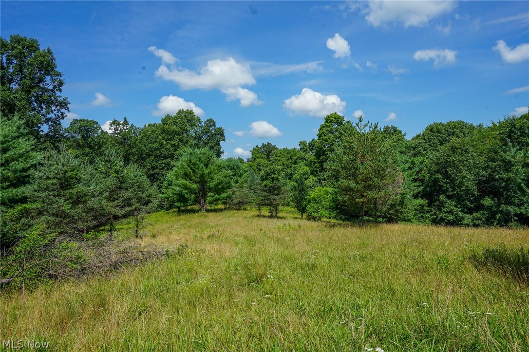 235 Butterbean Ridge Rd Property Photo 1