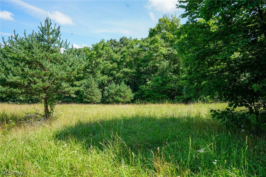 235 Butterbean Ridge Rd Property Photo 2