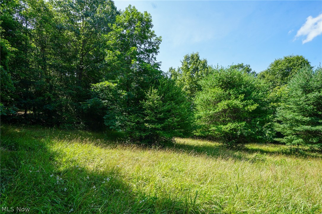 235 Butterbean Ridge Rd Property Photo 3