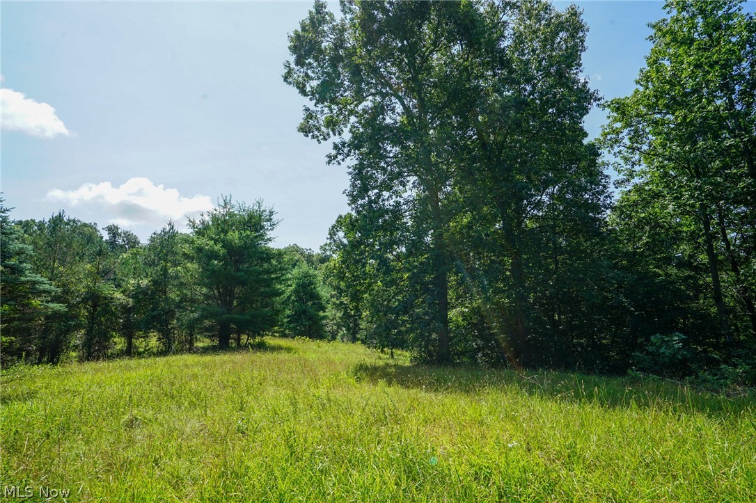 235 Butterbean Ridge Rd Property Photo 4