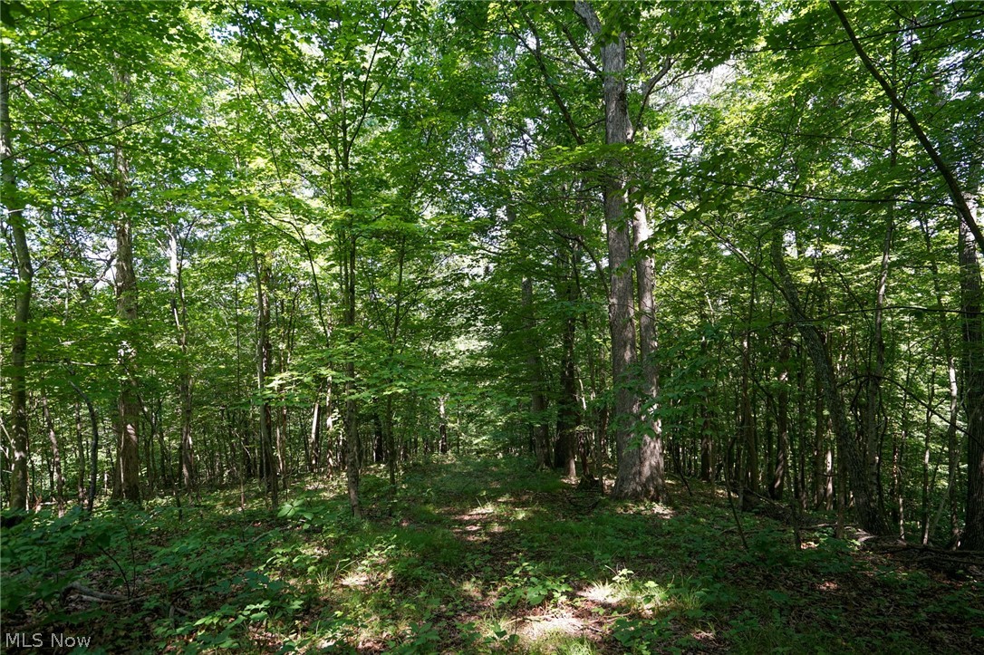 235 Butterbean Ridge Rd Property Photo 6