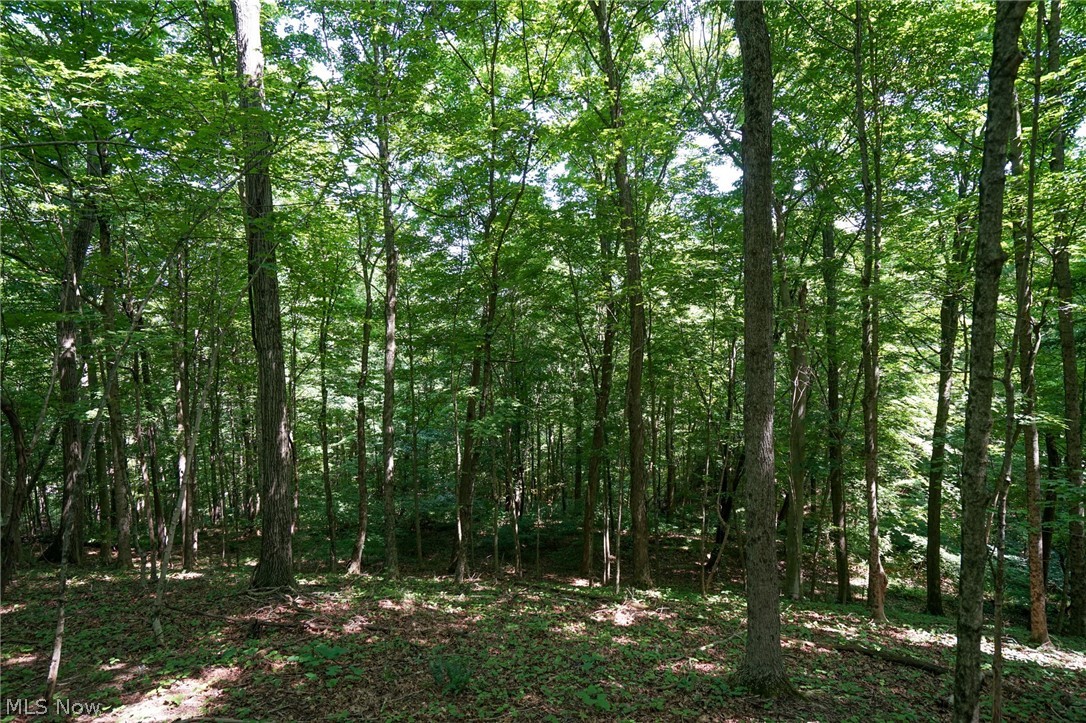 235 Butterbean Ridge Rd Property Photo 7