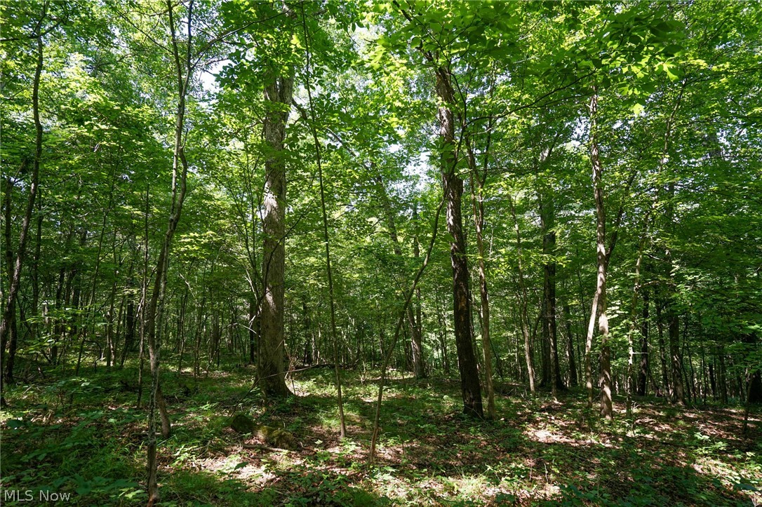235 Butterbean Ridge Rd Property Photo 8