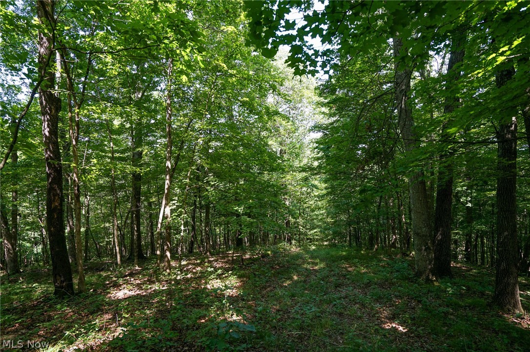 235 Butterbean Ridge Rd Property Photo 9