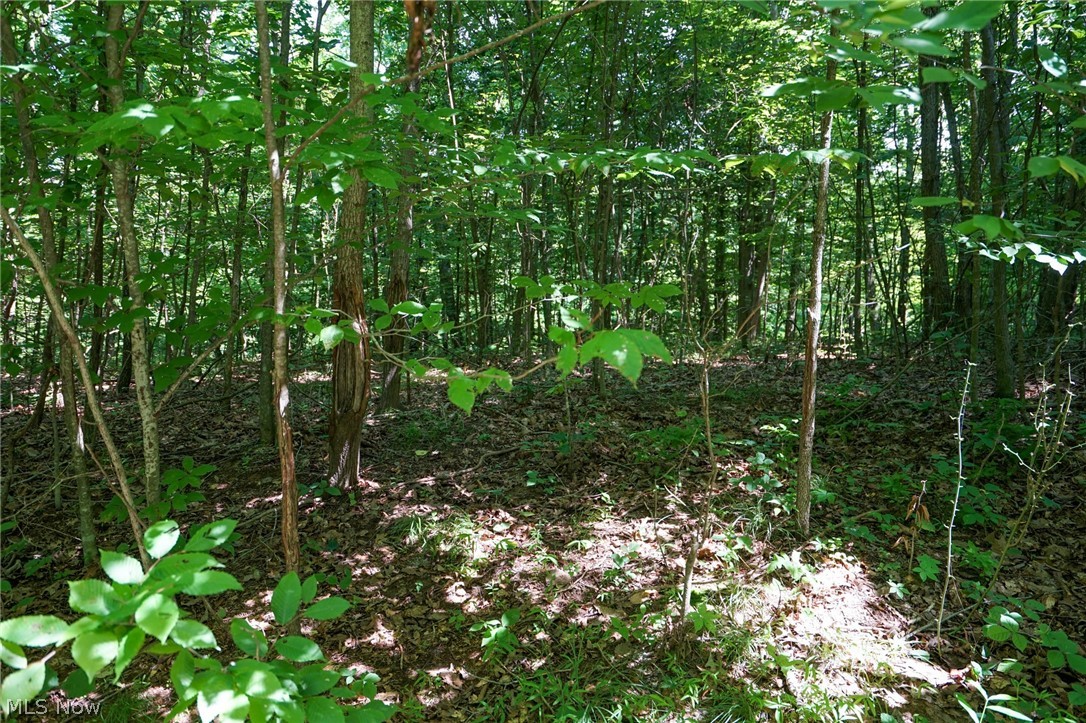 235 Butterbean Ridge Rd Property Photo 12