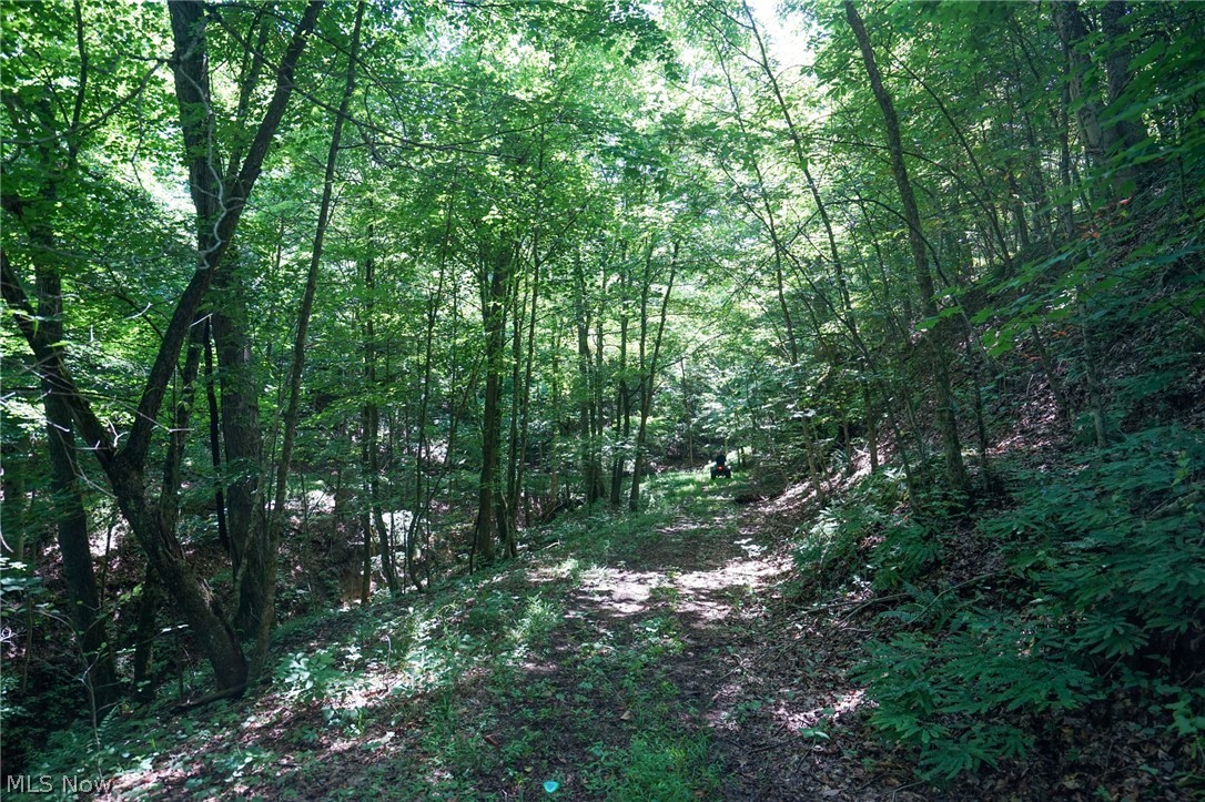 235 Butterbean Ridge Rd Property Photo 14