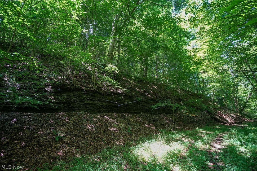 235 Butterbean Ridge Rd Property Photo 15