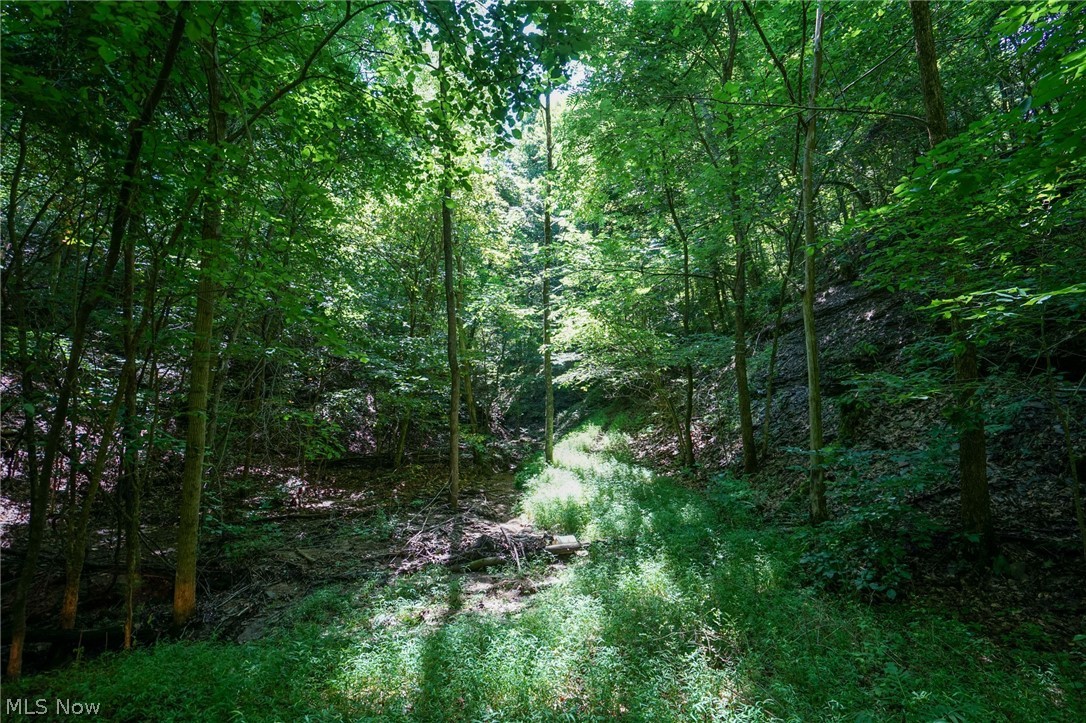 235 Butterbean Ridge Rd Property Photo 16