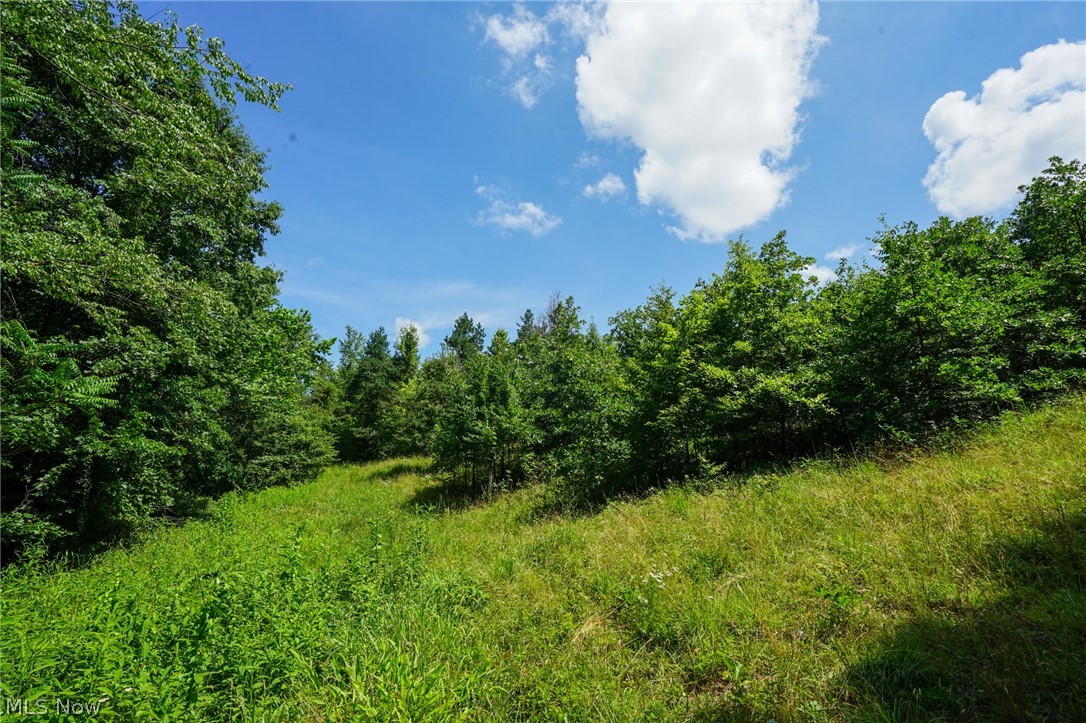 235 Butterbean Ridge Rd Property Photo 17