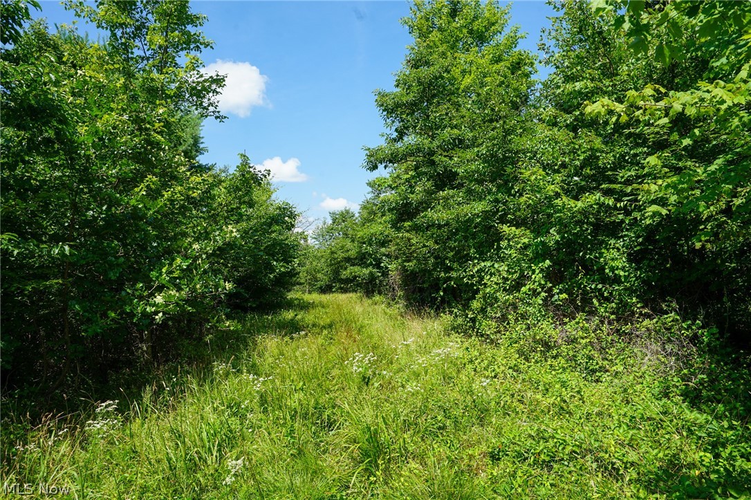 235 Butterbean Ridge Rd Property Photo 18