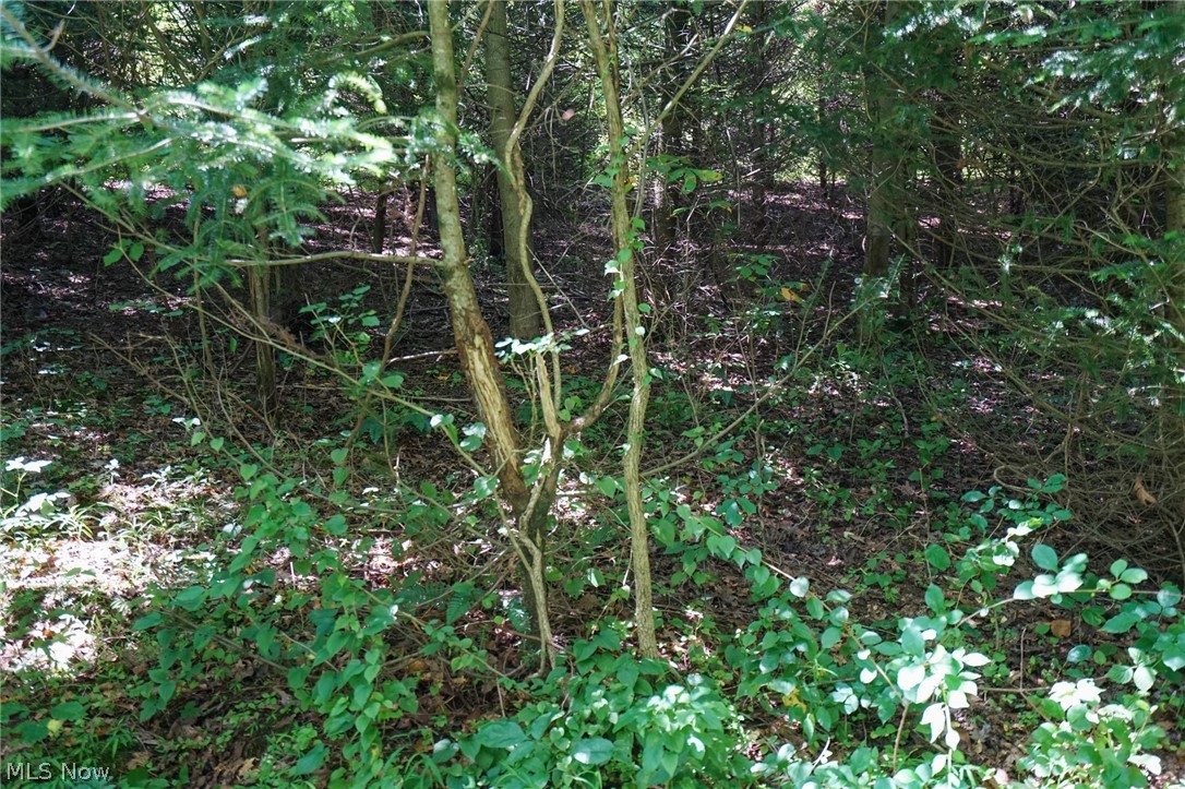 235 Butterbean Ridge Rd Property Photo 21