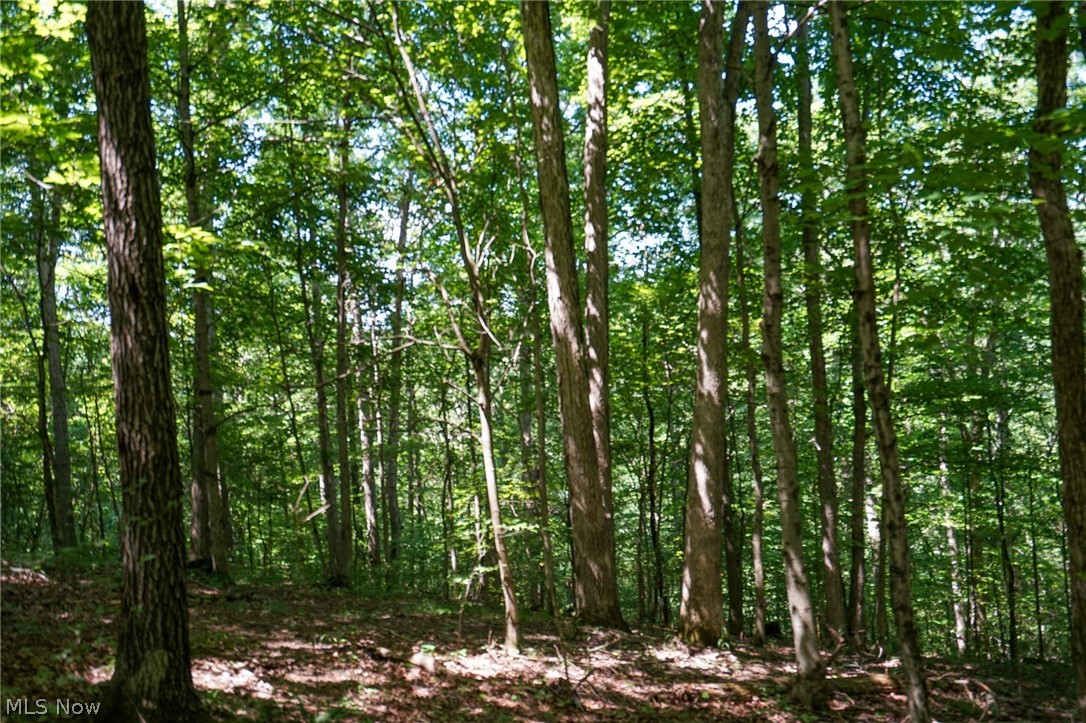 235 Butterbean Ridge Rd Property Photo 22
