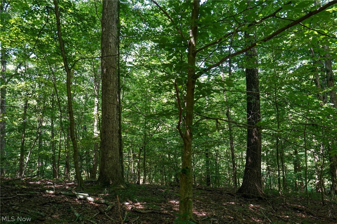 235 Butterbean Ridge Rd Property Photo 23