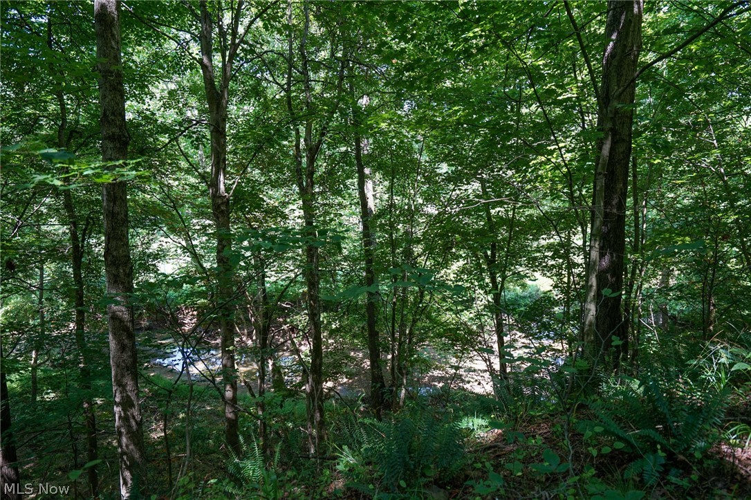 235 Butterbean Ridge Rd Property Photo 24