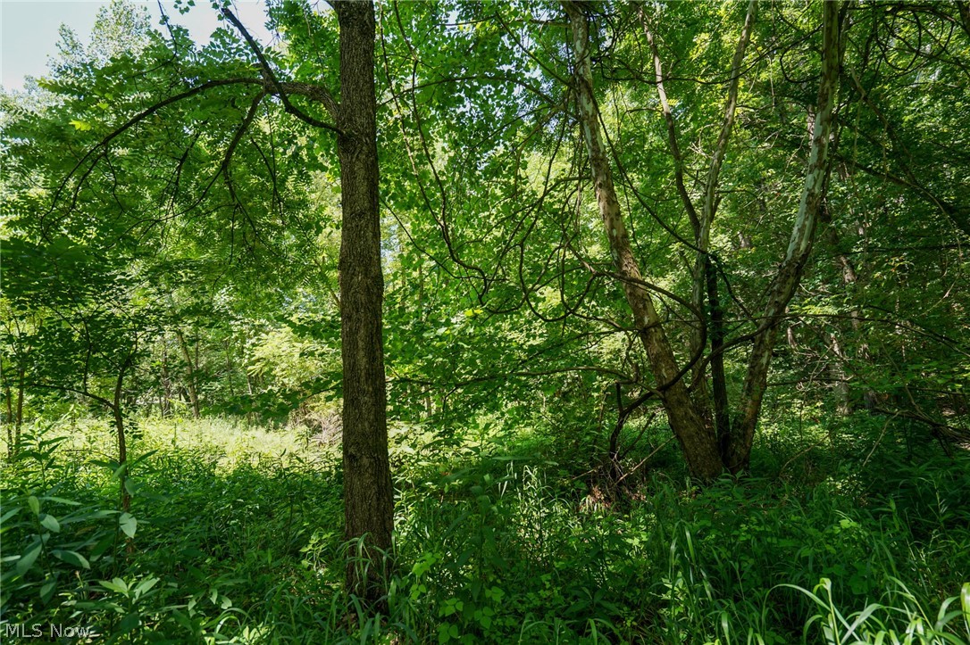 235 Butterbean Ridge Rd Property Photo 26