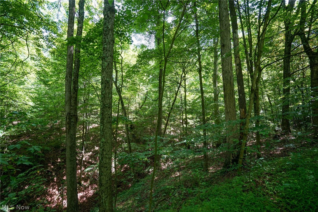 235 Butterbean Ridge Rd Property Photo 27
