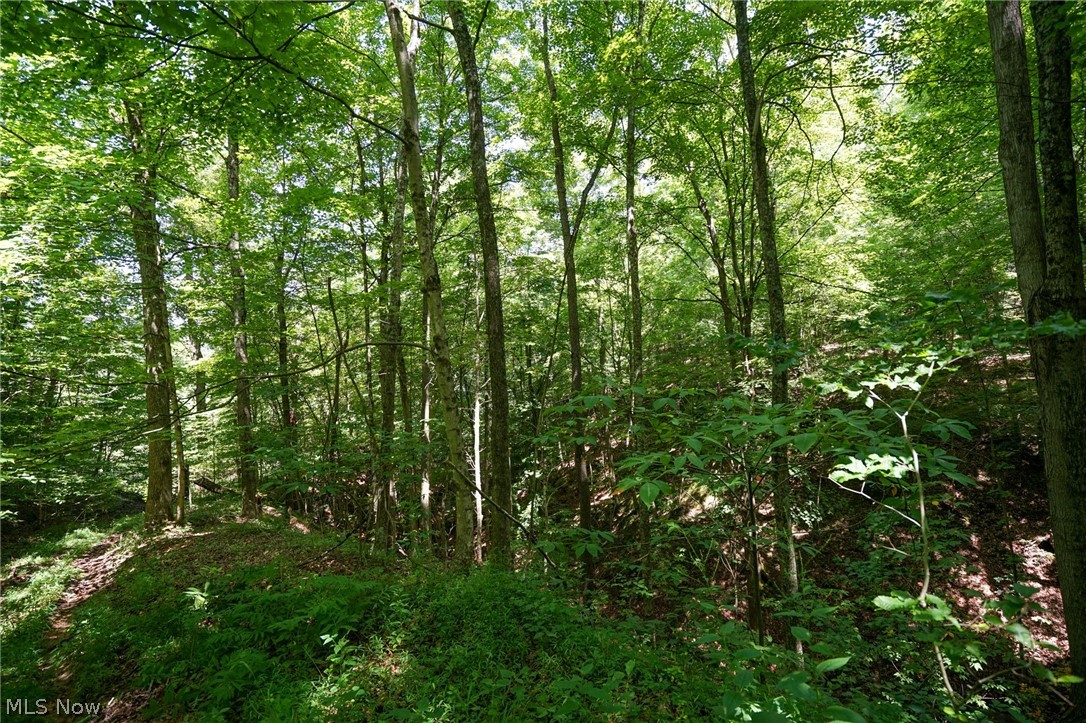 235 Butterbean Ridge Rd Property Photo 28