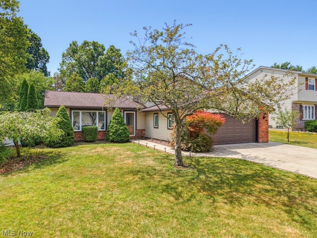 7875 Newcomb Drive