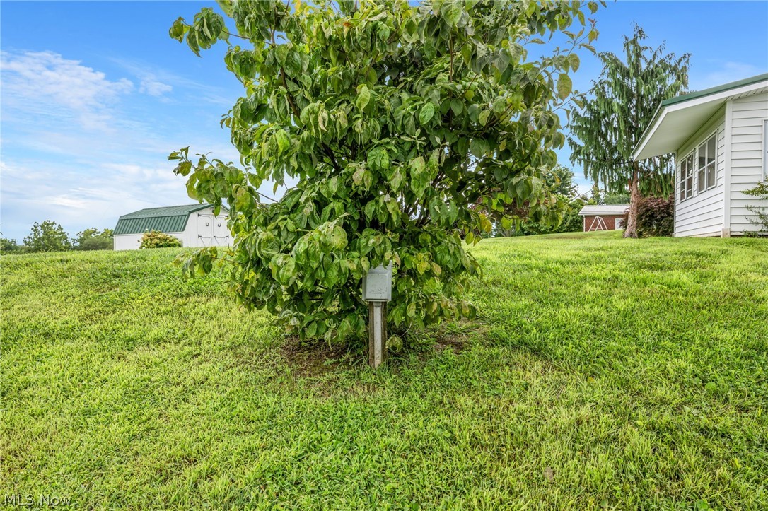 62280 Tacoma Road Property Photo 34