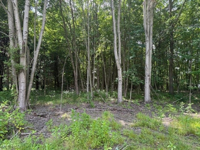 3281 Biltz Road Property Photo 5