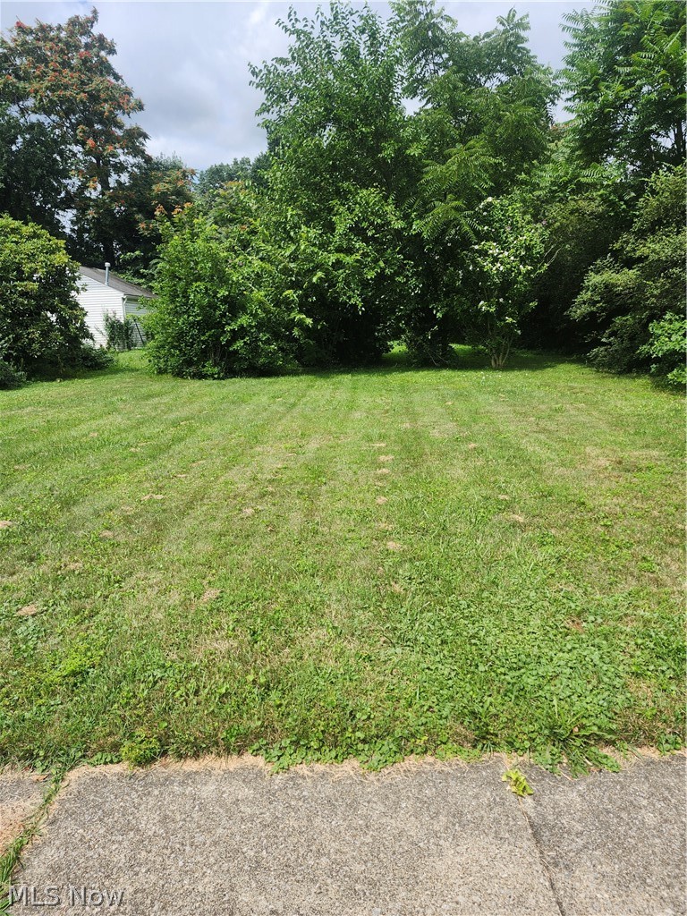 66 Holcomb Avenue