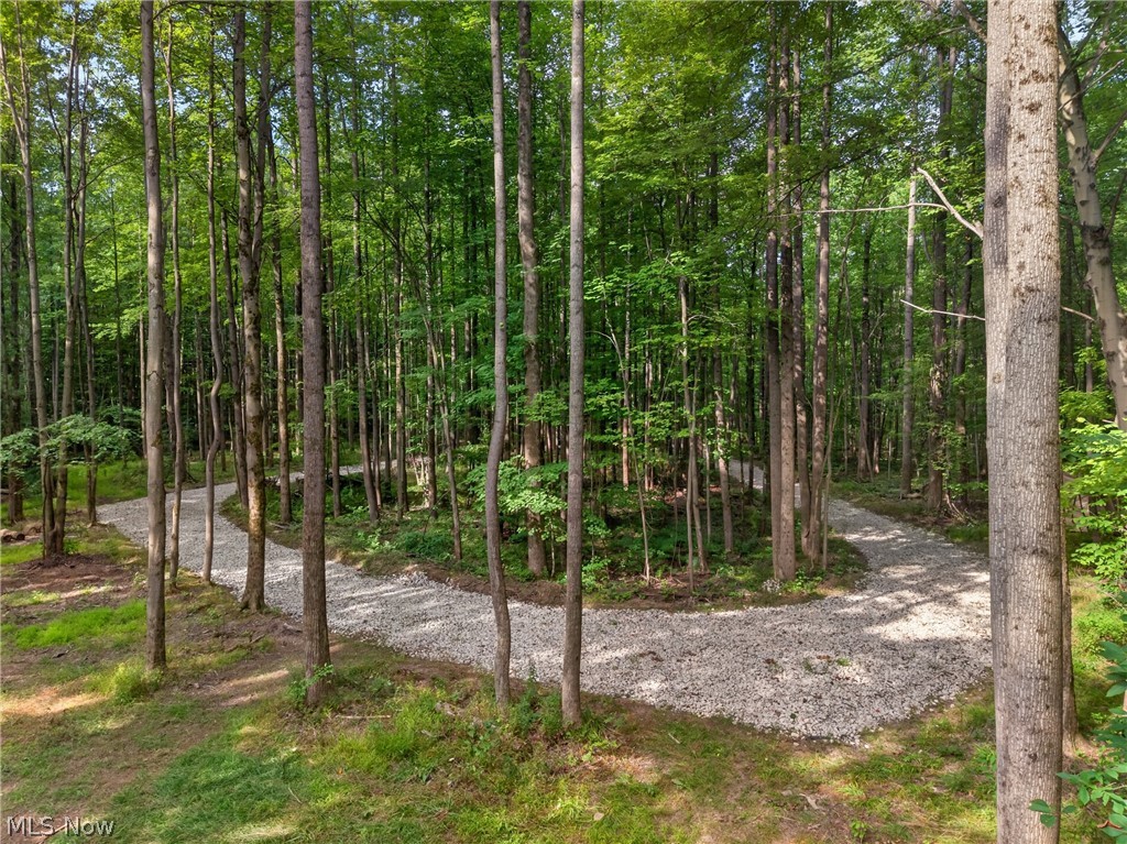 14493 Chillicothe Road Property Photo 5