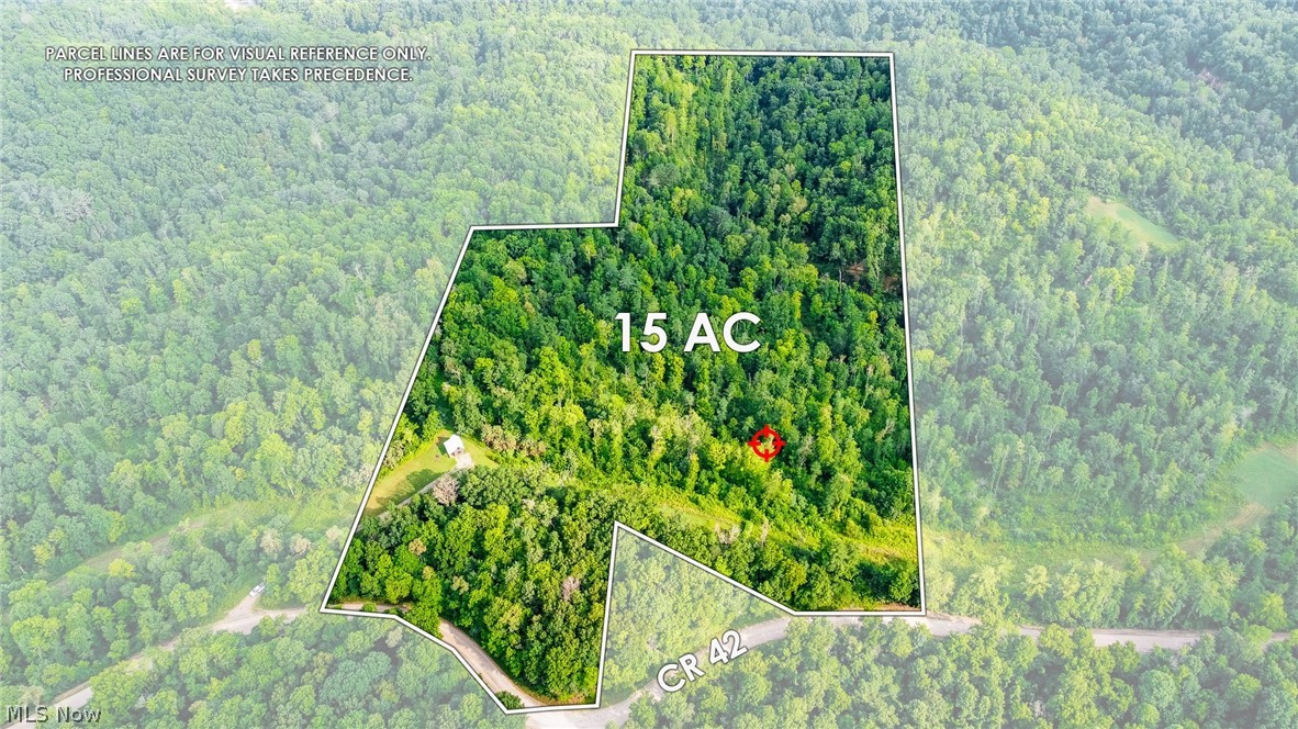 Ogles Ridge Road Property Photo 2