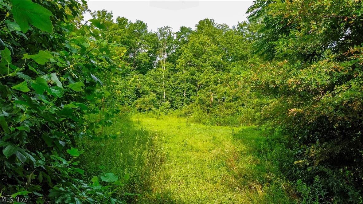 Ogles Ridge Road Property Photo 8