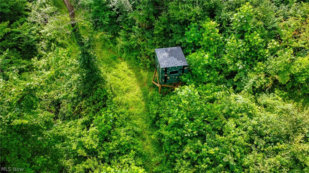 Ogles Ridge Road Property Photo 27