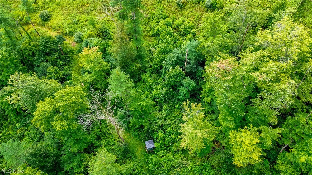Ogles Ridge Road Property Photo 29