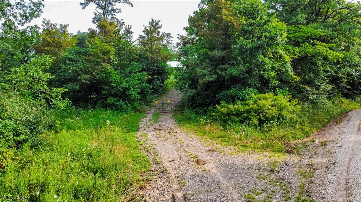 Ogles Ridge Road Property Photo 30