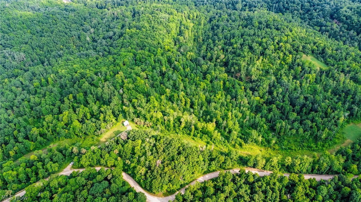 Ogles Ridge Road Property Photo 31